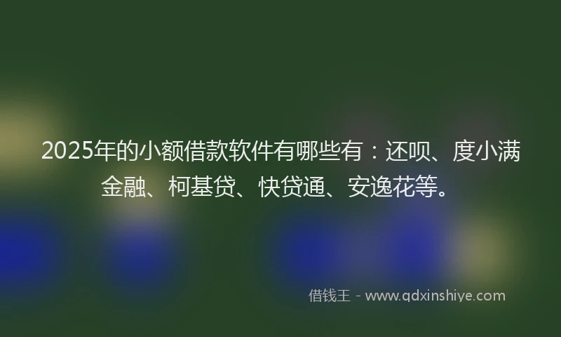 2025年的小额借款软件有哪些有：还呗、度小满金融、柯基贷、快贷通、安逸花等。
