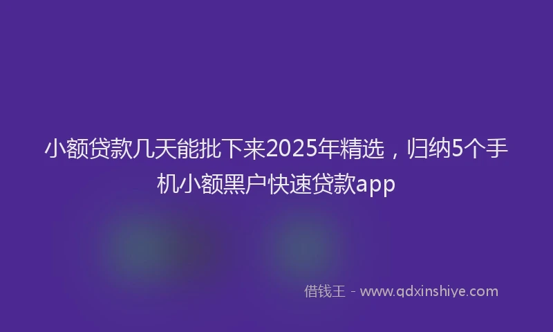 小额贷款几天能批下来2025年精选，归纳5个手机小额黑户快速贷款app
