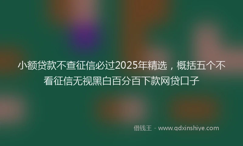 小额贷款不查征信必过2025年精选，概括五个不看征信无视黑白百分百下款网贷口子
