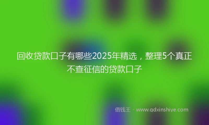 回收贷款口子有哪些2025年精选，整理5个真正不查征信的贷款口子