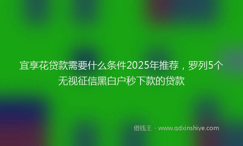 宜享花贷款需要什么条件2025年推荐，罗列5个无视征信黑白户秒下款的贷款