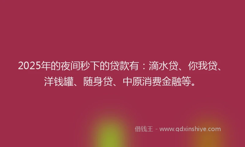 2025年的夜间秒下的贷款有：滴水贷、你我贷、洋钱罐、随身贷、中原消费金融等。