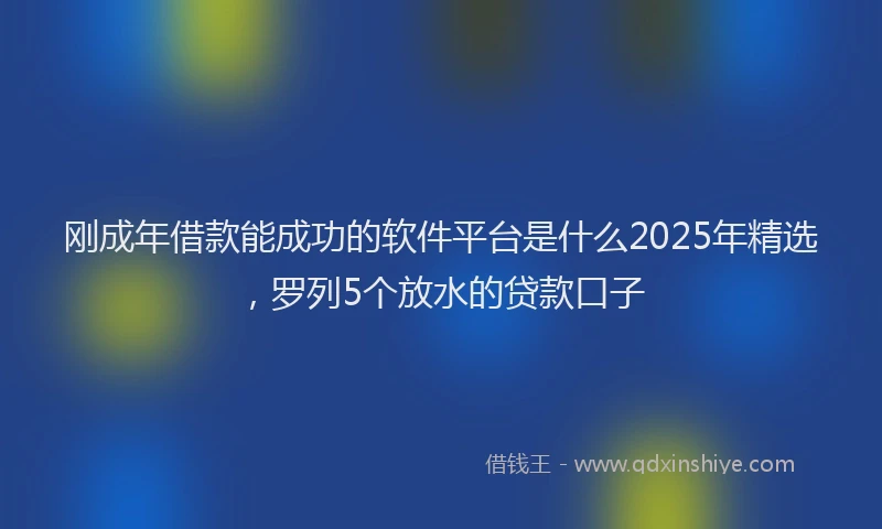 刚成年借款能成功的软件平台是什么2025年精选，罗列5个放水的贷款口子