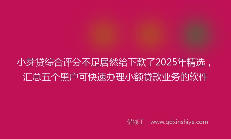 小芽贷综合评分不足居然给下款了2025年精选，汇总五个黑户可快速办理小额贷款业务的软件