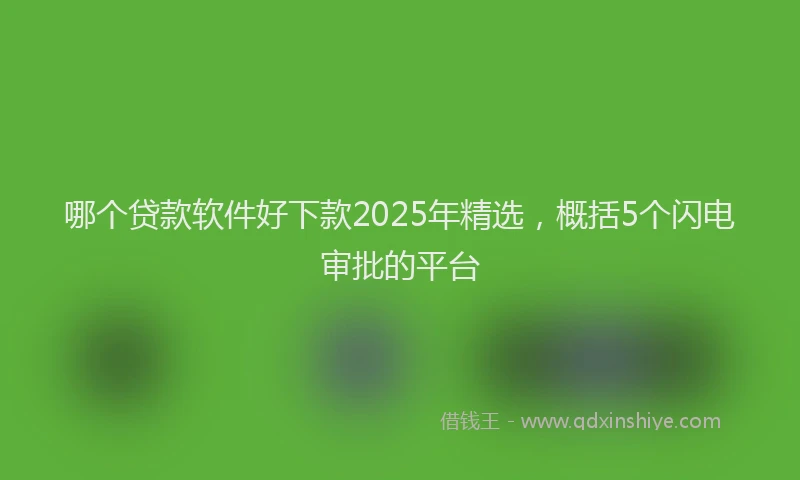 哪个贷款软件好下款2025年精选，概括5个闪电审批的平台
