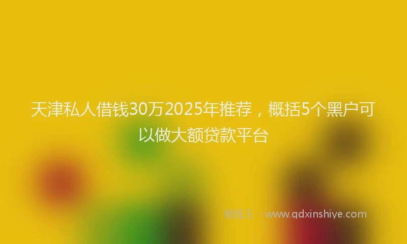 天津私人借钱30万2025年推荐，概括5个黑户可以做大额贷款平台