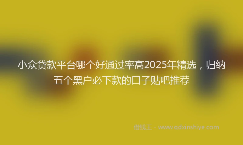 小众贷款平台哪个好通过率高2025年精选，归纳五个黑户必下款的口子贴吧推荐