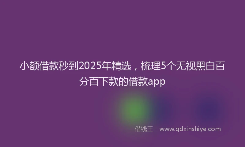 小额借款秒到2025年精选，梳理5个无视黑白百分百下款的借款app