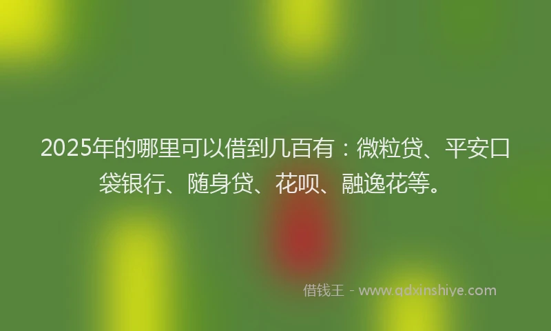 2025年的哪里可以借到几百有：微粒贷、平安口袋银行、随身贷、花呗、融逸花等。