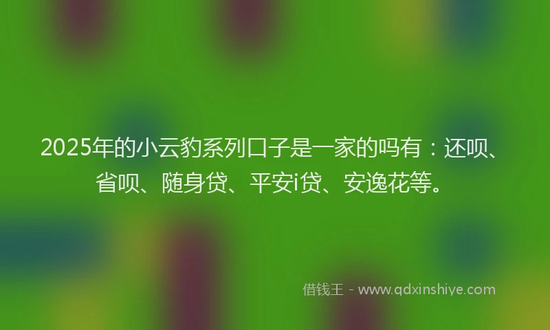 2025年的小云豹系列口子是一家的吗有：还呗、省呗、随身贷、平安i贷、安逸花等。
