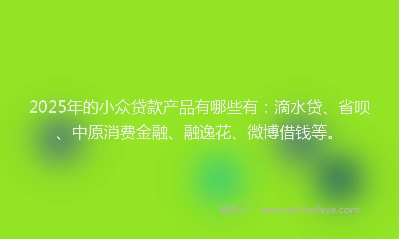 2025年的小众贷款产品有哪些有：滴水贷、省呗、中原消费金融、融逸花、微博借钱等。