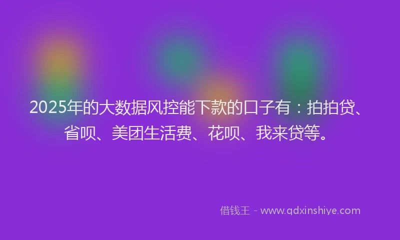 2025年的大数据风控能下款的口子有：拍拍贷、省呗、美团生活费、花呗、我来贷等。