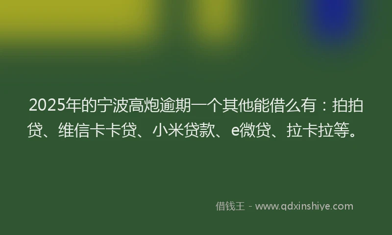 2025年的宁波高炮逾期一个其他能借么有：拍拍贷、维信卡卡贷、小米贷款、e微贷、拉卡拉等。