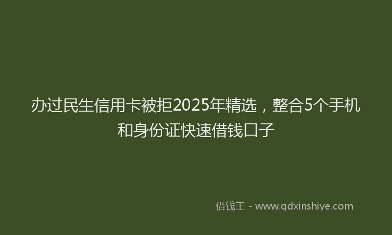 办过民生信用卡被拒2025年精选，整合5个手机和身份证快速借钱口子