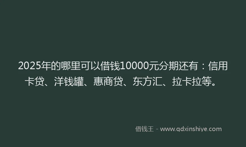2025年的哪里可以借钱10000元分期还有：信用卡贷、洋钱罐、惠商贷、东方汇、拉卡拉等。