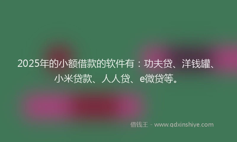 2025年的小额借款的软件有：功夫贷、洋钱罐、小米贷款、人人贷、e微贷等。