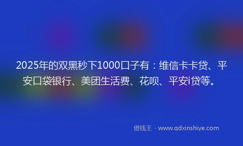 2025年的双黑秒下1000口子有：维信卡卡贷、平安口袋银行、美团生活费、花呗、平安i贷等。