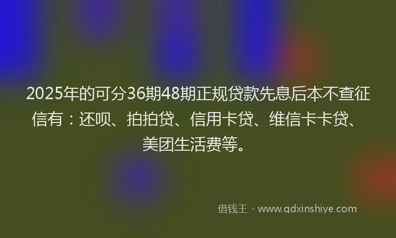 2025年的可分36期48期正规贷款先息后本不查征信有：还呗、拍拍贷、信用卡贷、维信卡卡贷、美团生活费等。
