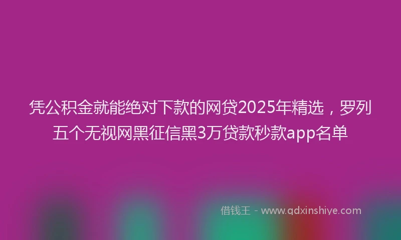 凭公积金就能绝对下款的网贷2025年精选，罗列五个无视网黑征信黑3万贷款秒款app名单