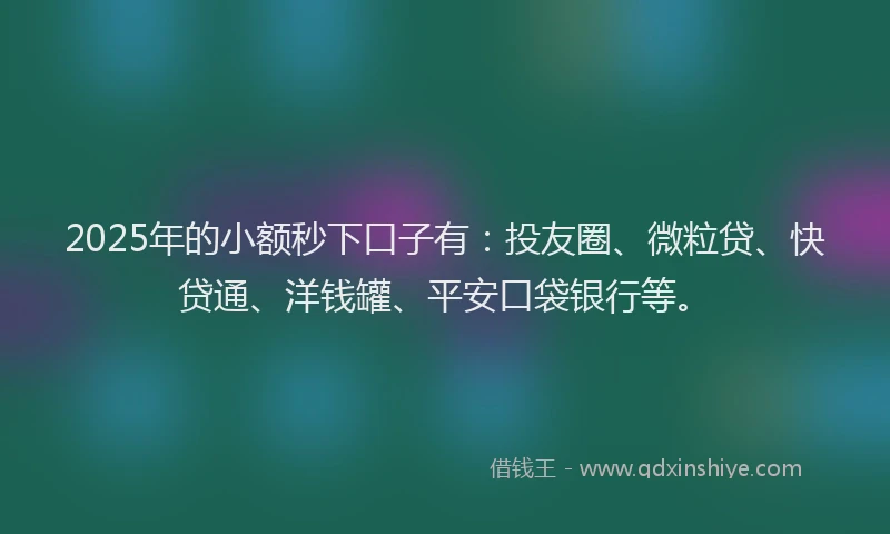 2025年的小额秒下口子有：投友圈、微粒贷、快贷通、洋钱罐、平安口袋银行等。