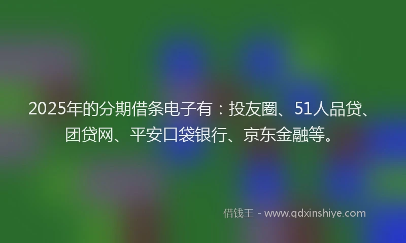 2025年的分期借条电子有：投友圈、51人品贷、团贷网、平安口袋银行、京东金融等。