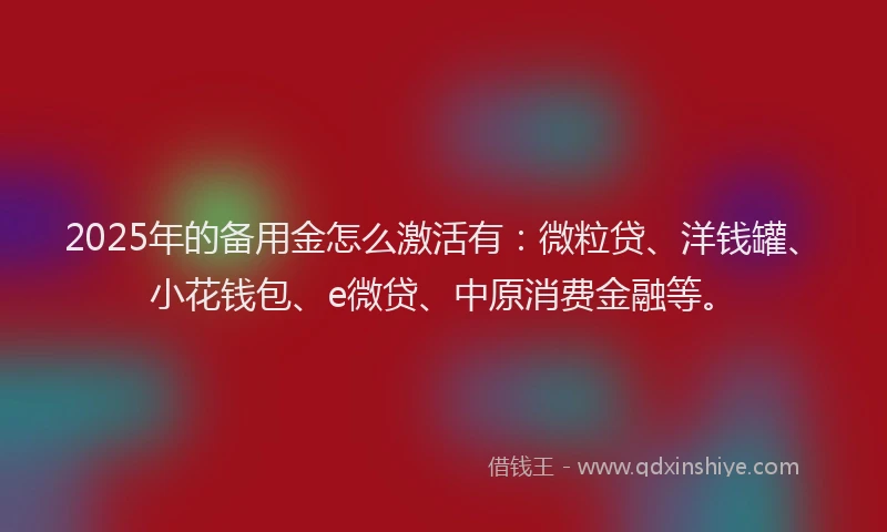 2025年的备用金怎么激活有：微粒贷、洋钱罐、小花钱包、e微贷、中原消费金融等。