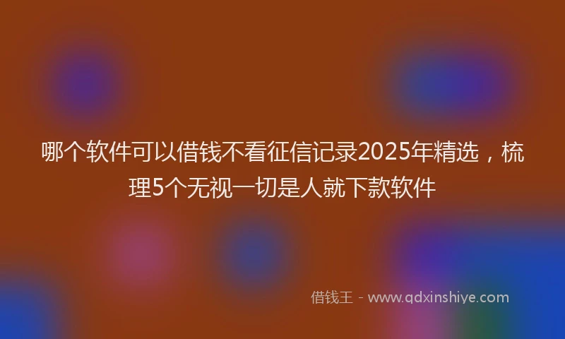 哪个软件可以借钱不看征信记录2025年精选，梳理5个无视一切是人就下款软件