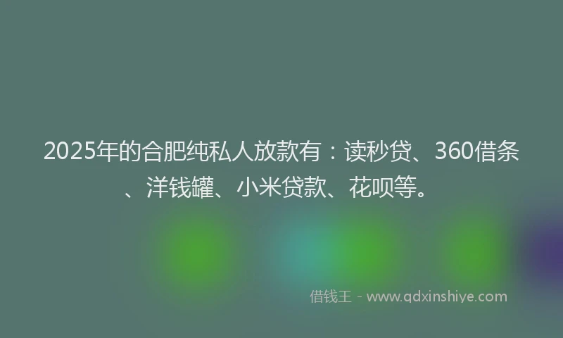 2025年的合肥纯私人放款有：读秒贷、360借条、洋钱罐、小米贷款、花呗等。