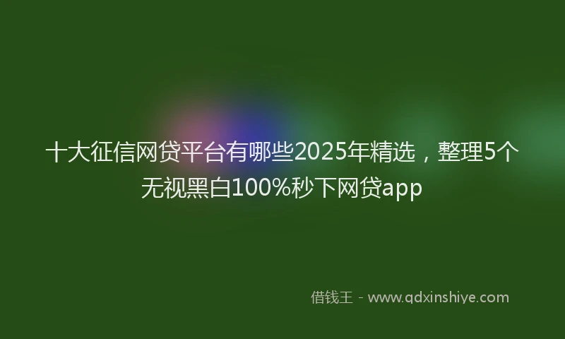 十大征信网贷平台有哪些2025年精选，整理5个无视黑白100%秒下网贷app