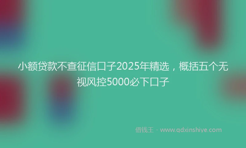 小额贷款不查征信口子2025年精选，概括五个无视风控5000必下口子