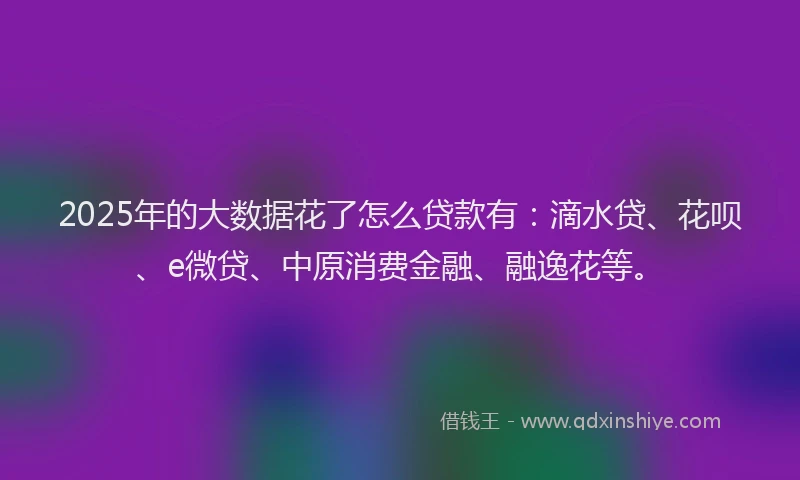 2025年的大数据花了怎么贷款有：滴水贷、花呗、e微贷、中原消费金融、融逸花等。