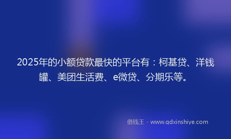 2025年的小额贷款最快的平台有：柯基贷、洋钱罐、美团生活费、e微贷、分期乐等。