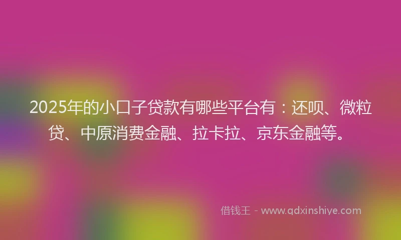 2025年的小口子贷款有哪些平台有：还呗、微粒贷、中原消费金融、拉卡拉、京东金融等。