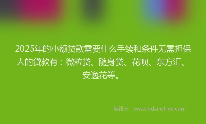 2025年的小额贷款需要什么手续和条件无需担保人的贷款有：微粒贷、随身贷、花呗、东方汇、安逸花等。