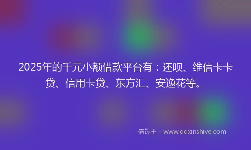 2025年的千元小额借款平台有：还呗、维信卡卡贷、信用卡贷、东方汇、安逸花等。