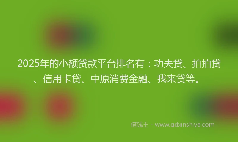 2025年的小额贷款平台排名有:功夫贷、拍拍贷、信用卡贷、中原消费金融、我来贷等。