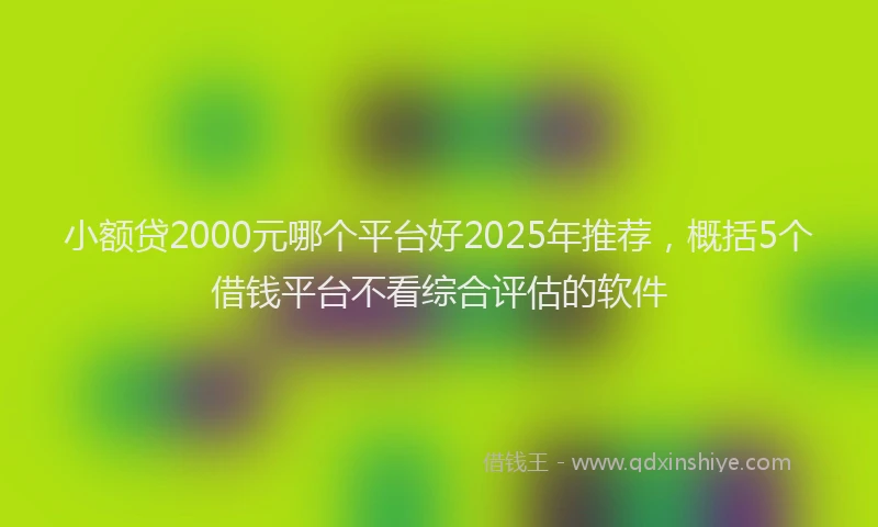 小额贷2000元哪个平台好2025年推荐，概括5个借钱平台不看综合评估的软件