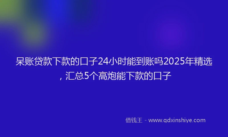 呆账贷款下款的口子24小时能到账吗2025年精选，汇总5个高炮能下款的口子