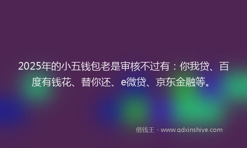2025年的小五钱包老是审核不过有：你我贷、百度有钱花、替你还、e微贷、京东金融等。