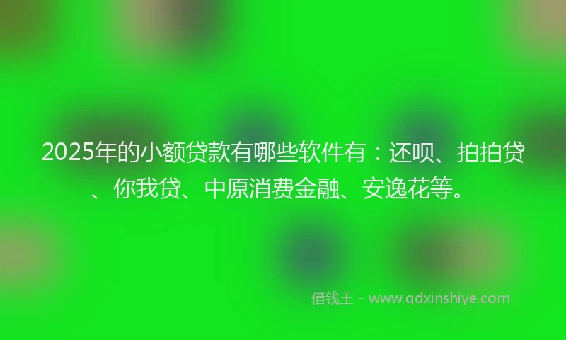 2025年的小额贷款有哪些软件有：还呗、拍拍贷、你我贷、中原消费金融、安逸花等。