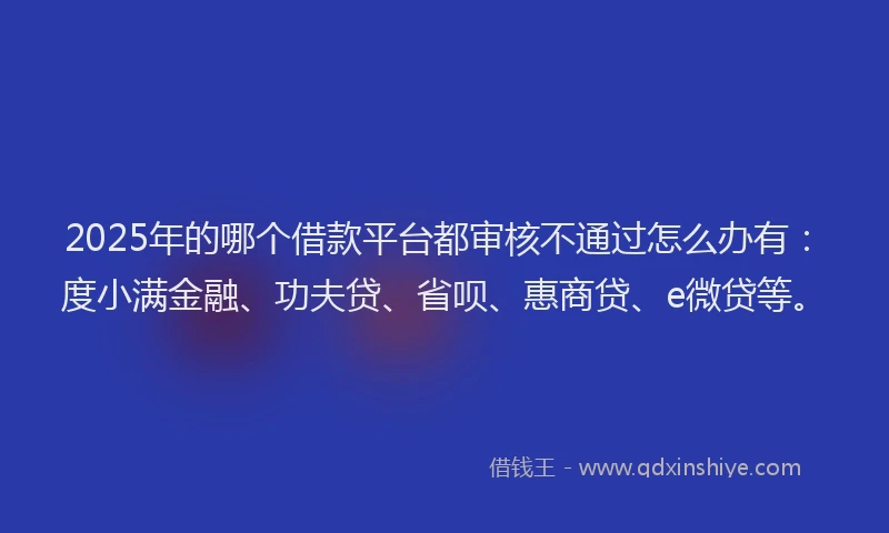 2025年的哪个借款平台都审核不通过怎么办有：度小满金融、功夫贷、省呗、惠商贷、e微贷等。