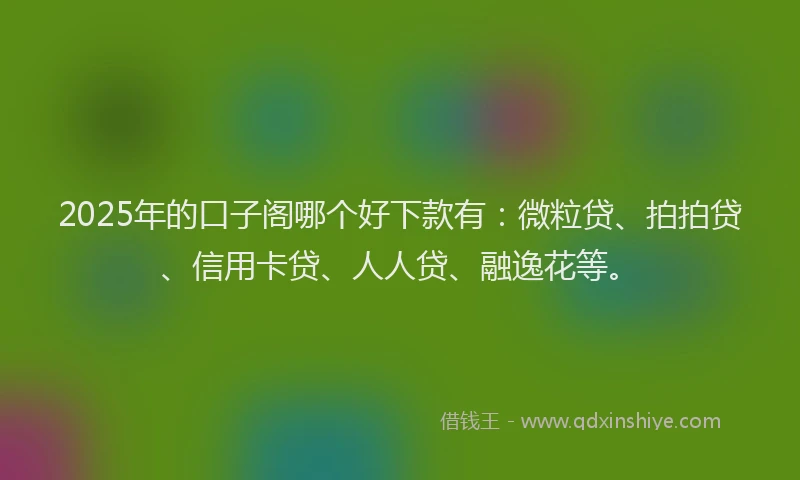 2025年的口子阁哪个好下款有：微粒贷、拍拍贷、信用卡贷、人人贷、融逸花等。