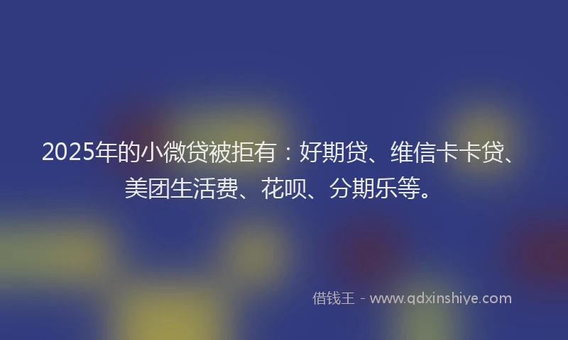2025年的小微贷被拒有：好期贷、维信卡卡贷、美团生活费、花呗、分期乐等。