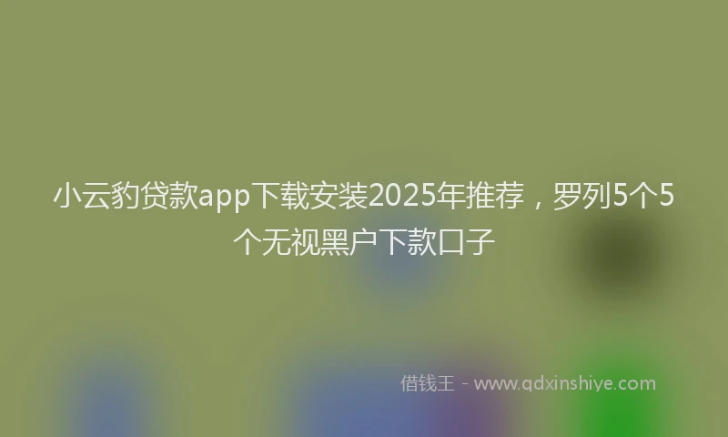 小云豹贷款app下载安装2025年推荐，罗列5个5个无视黑户下款口子