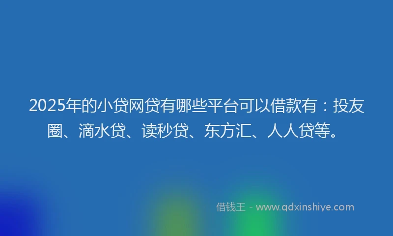 2025年的小贷网贷有哪些平台可以借款有：投友圈、滴水贷、读秒贷、东方汇、人人贷等。