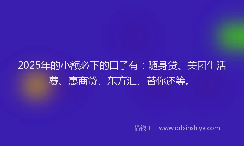2025年的小额必下的口子有：随身贷、美团生活费、惠商贷、东方汇、替你还等。