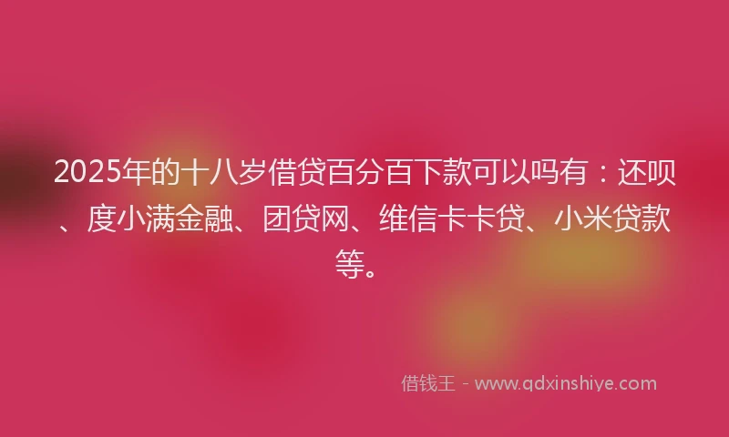 2025年的十八岁借贷百分百下款可以吗有：还呗、度小满金融、团贷网、维信卡卡贷、小米贷款等。