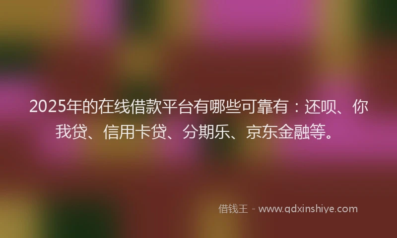 2025年的在线借款平台有哪些可靠有：还呗、你我贷、信用卡贷、分期乐、京东金融等。
