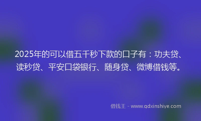 2025年的可以借五千秒下款的口子有：功夫贷、读秒贷、平安口袋银行、随身贷、微博借钱等。
