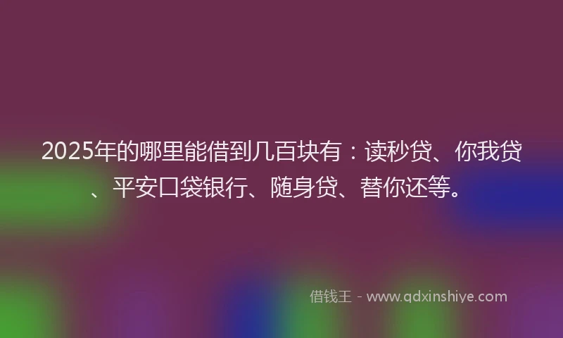 2025年的哪里能借到几百块有：读秒贷、你我贷、平安口袋银行、随身贷、替你还等。